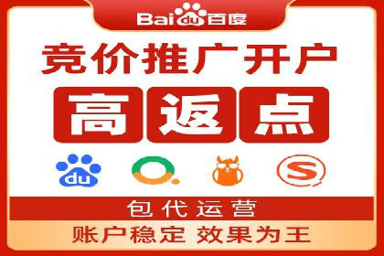 百度竞价赚钱案例：从零到月入过万